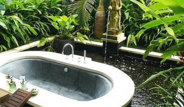 Plants for the bathroom - all you need to know