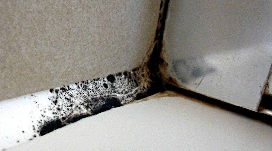 Get Rid Off Mouldy Silicone Sealant From Your Shower